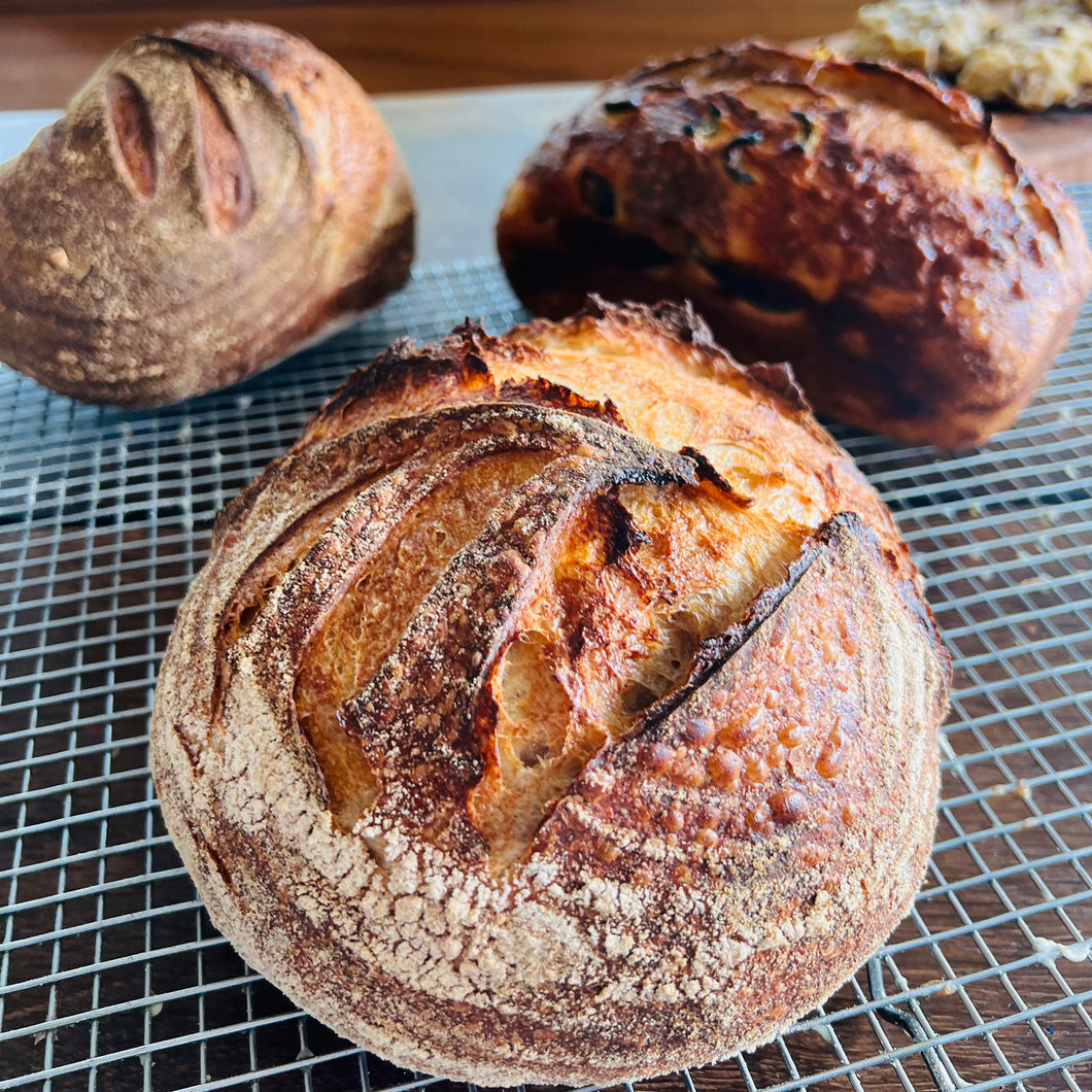 Whole Wheat Sourdough Boule