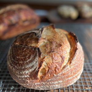 Whole Wheat Sourdough Boule