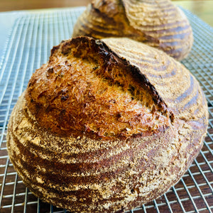 Whole Wheat Sourdough Boule